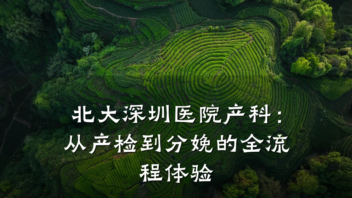 北大深圳医院产科:从产检到分娩的全流程体验