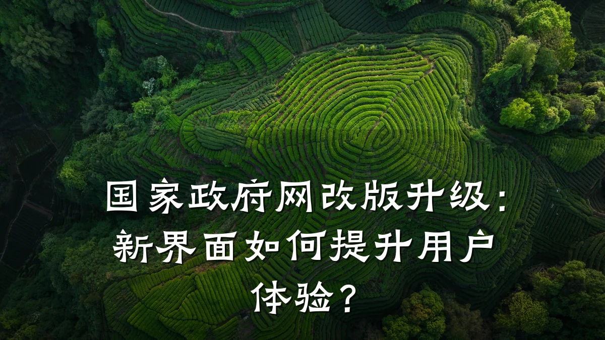 国家政府网改版升级：新界面如何提升用户体验？