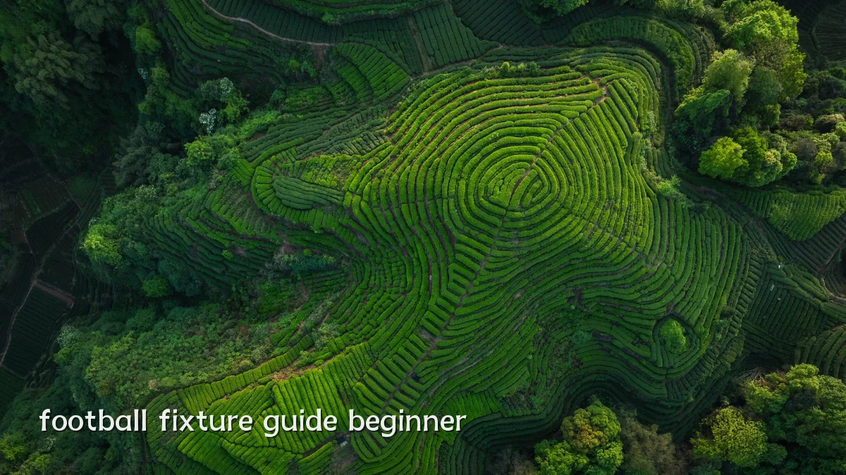 football fixture guide beginner