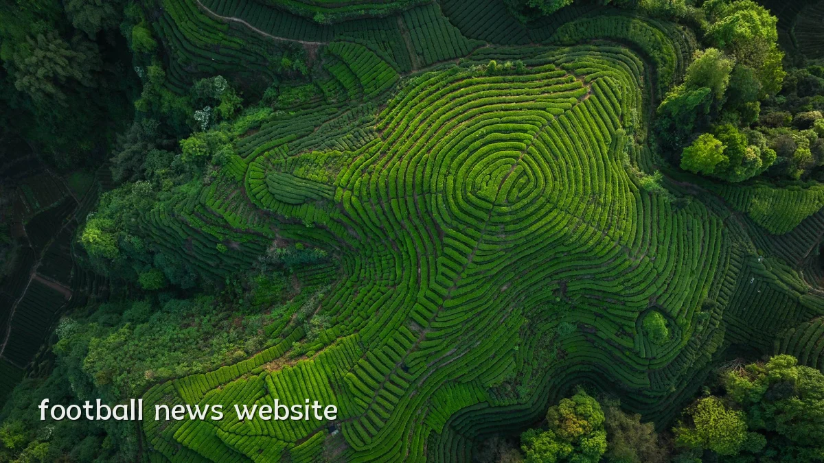 football news website