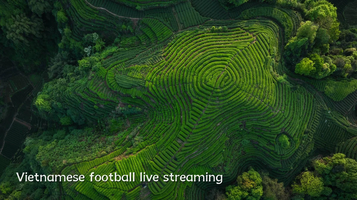 Vietnamese football live streaming