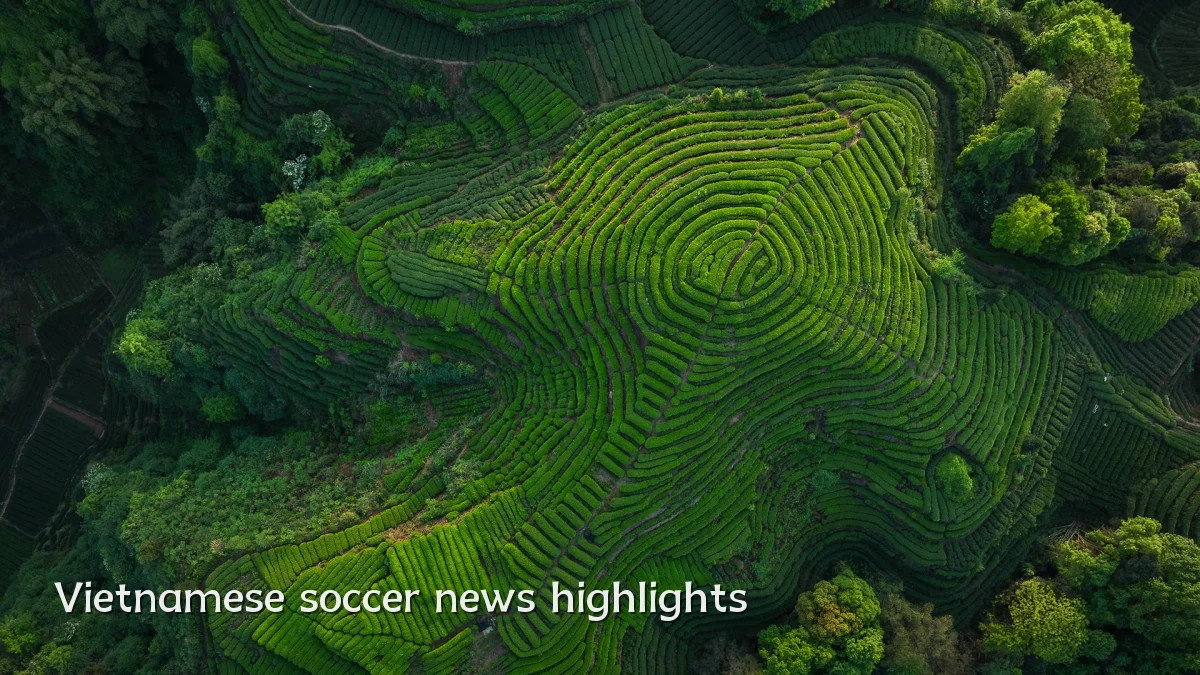 Vietnamese soccer news highlights