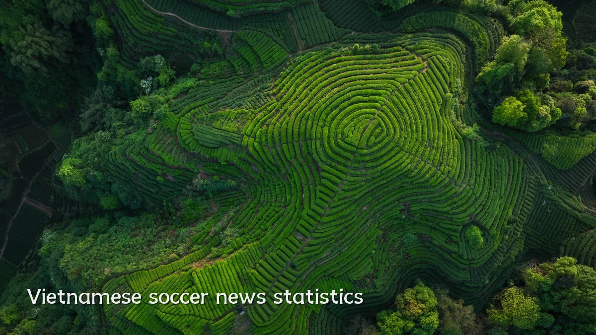 Vietnamese soccer news statistics