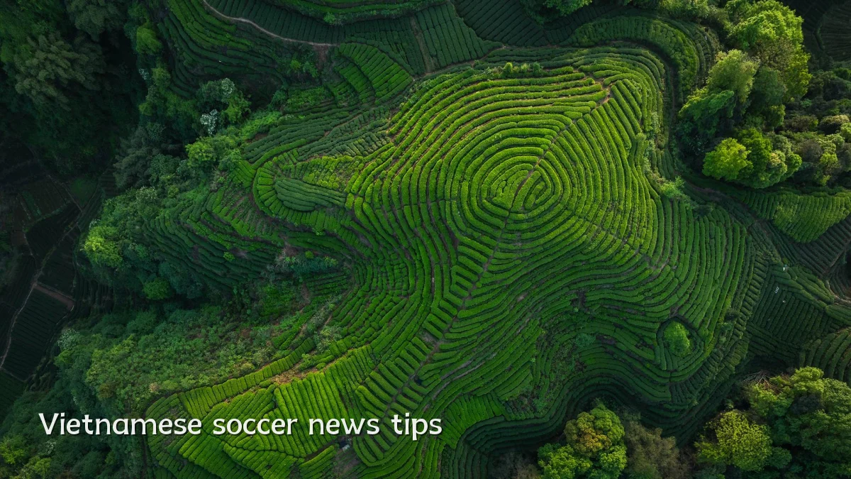 Vietnamese soccer news tips