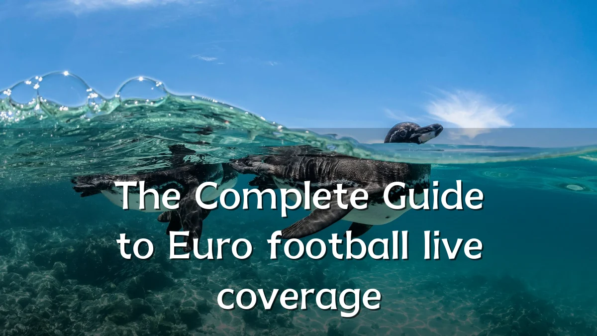 The Complete Guide to Euro football live coverage