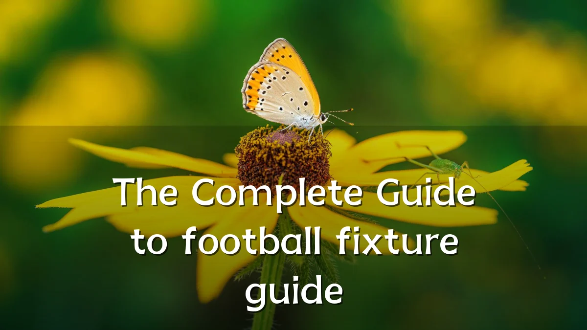 The Complete Guide to football fixture guide