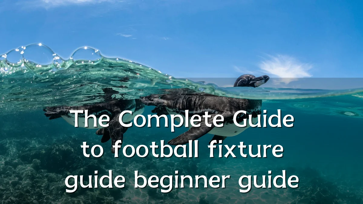 The Complete Guide to football fixture guide beginner guide