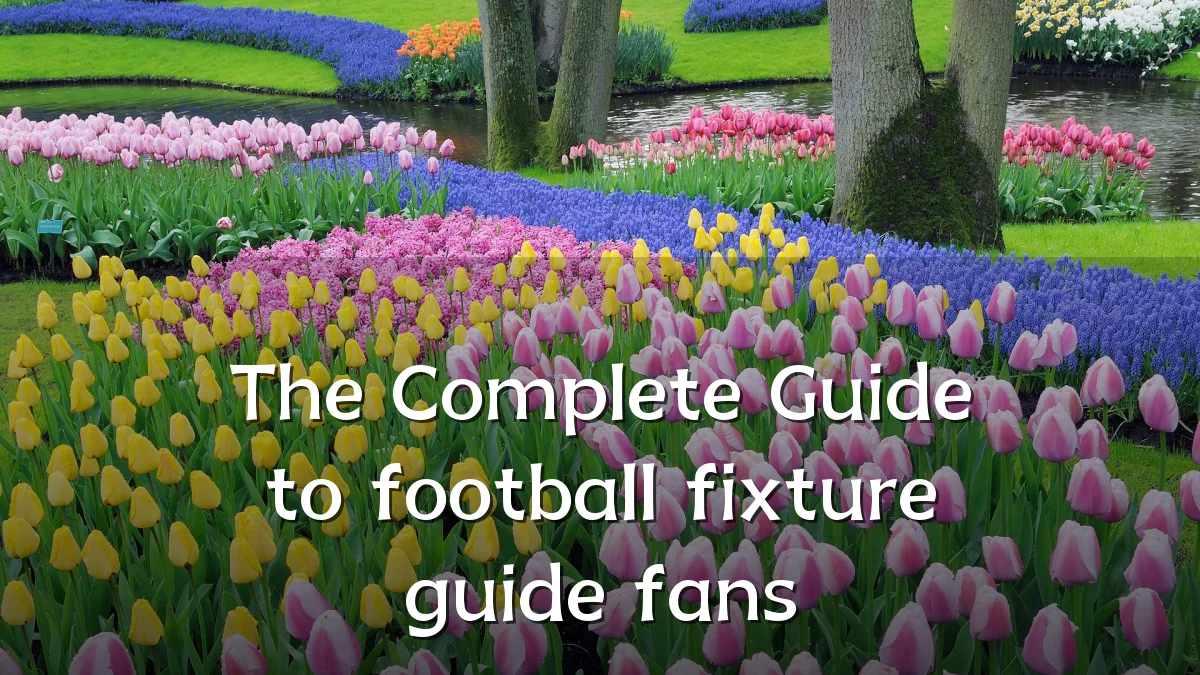 The Complete Guide to football fixture guide fans