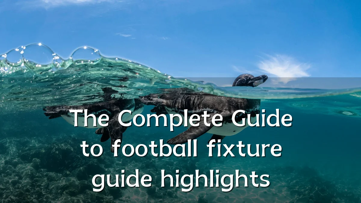 The Complete Guide to football fixture guide highlights