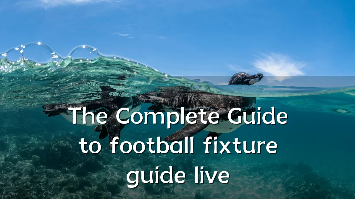 The Complete Guide to football fixture guide live