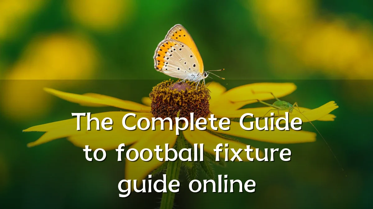 The Complete Guide to football fixture guide online