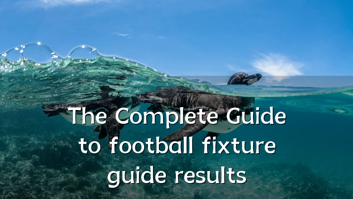 The Complete Guide to football fixture guide results