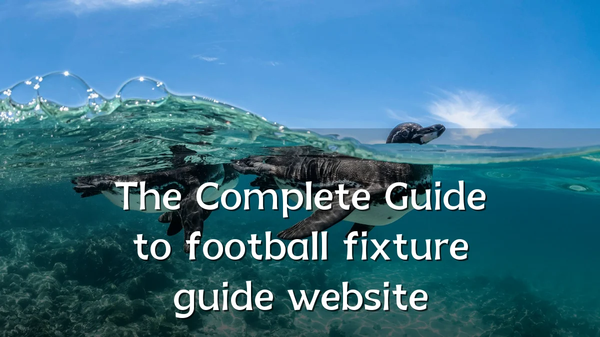 The Complete Guide to football fixture guide website