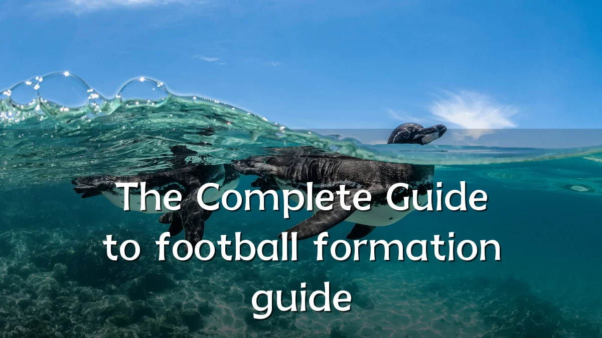 The Complete Guide to football formation guide