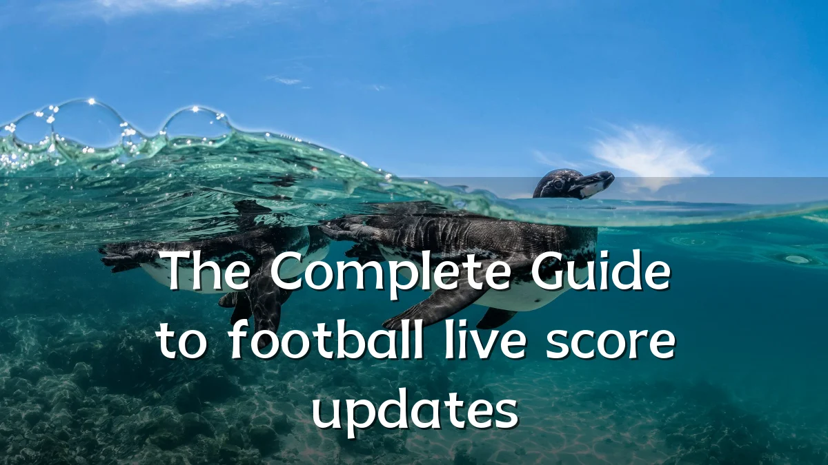 The Complete Guide to football live score updates