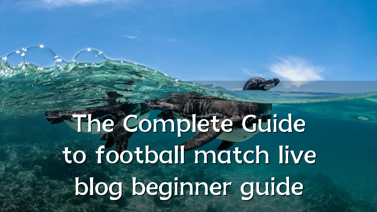 The Complete Guide to football match live blog beginner guide