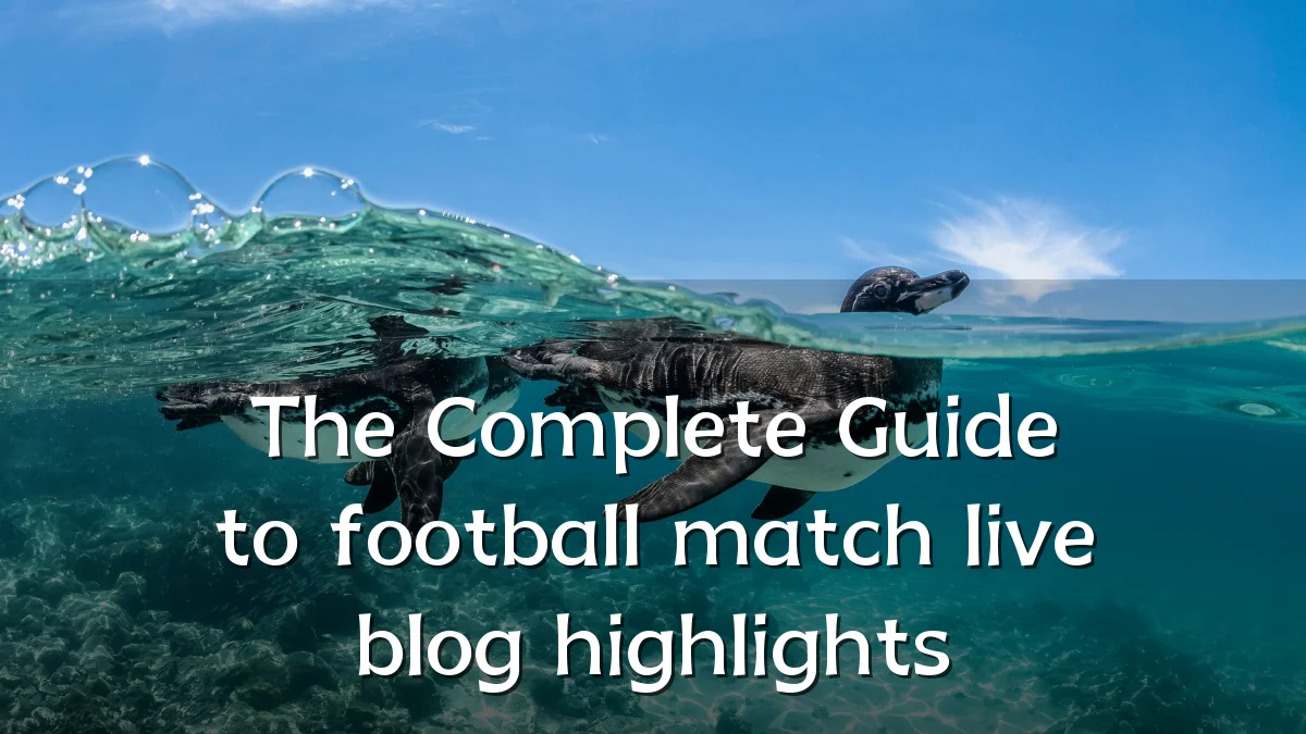 The Complete Guide to football match live blog highlights