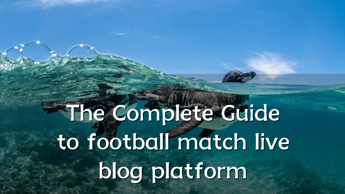 The Complete Guide to football match live blog platform