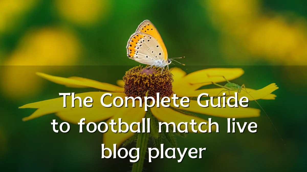 The Complete Guide to football match live blog player