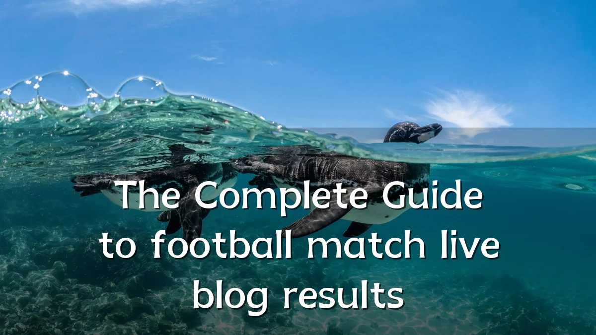 The Complete Guide to football match live blog results