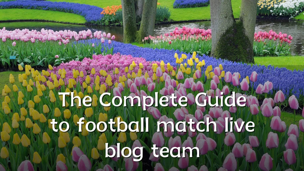 The Complete Guide to football match live blog team