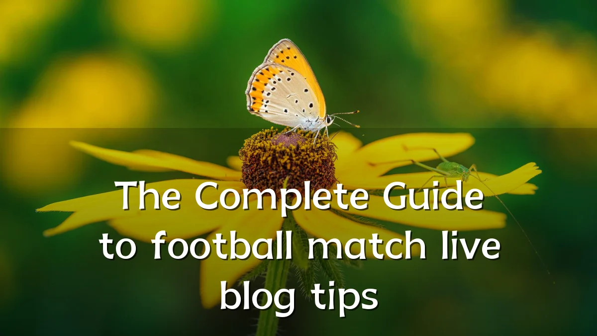 The Complete Guide to football match live blog tips