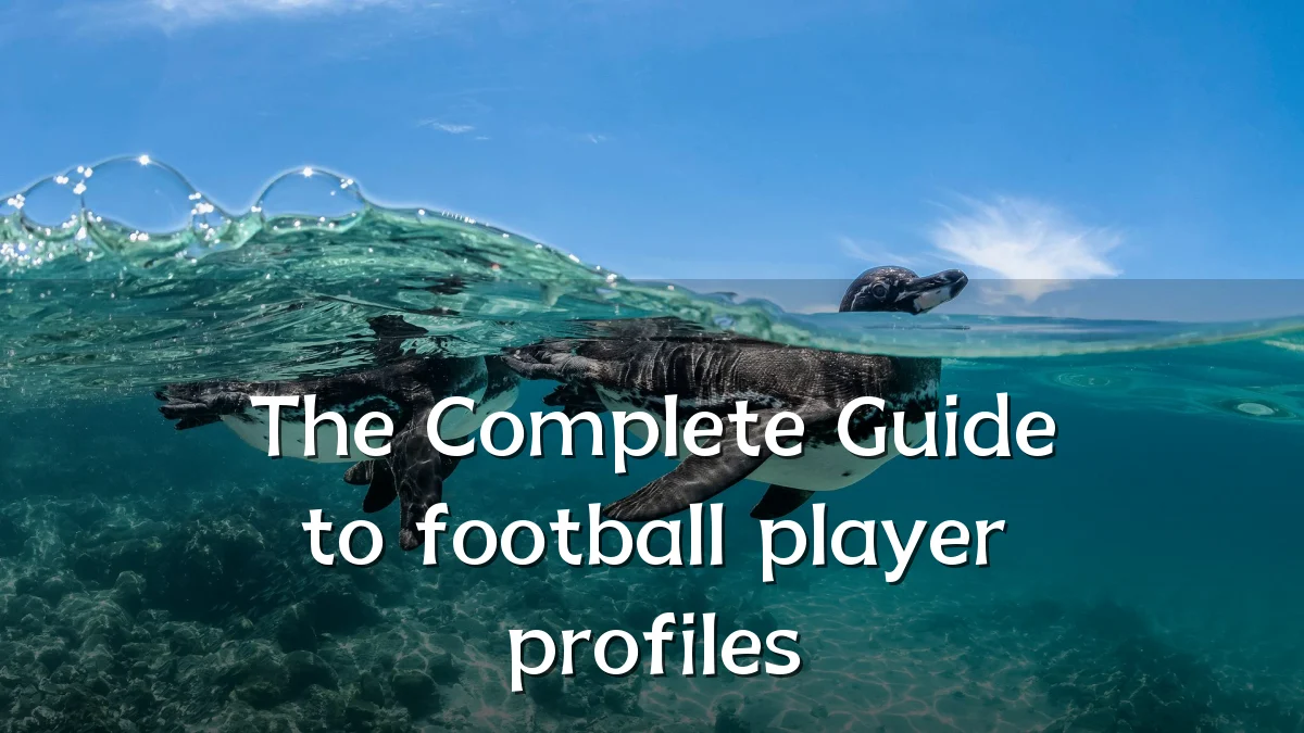 The Complete Guide to football player profiles