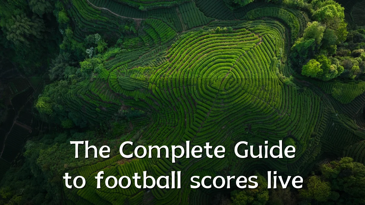 The Complete Guide to football scores live
