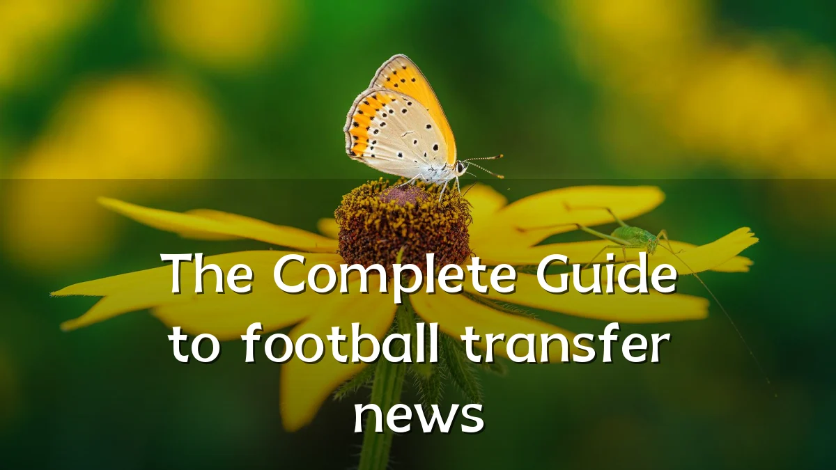 The Complete Guide to football transfer news