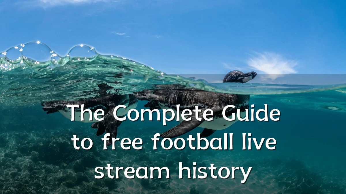 The Complete Guide to free football live stream history