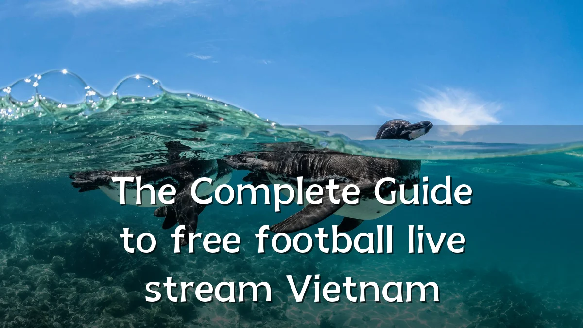 The Complete Guide to free football live stream Vietnam