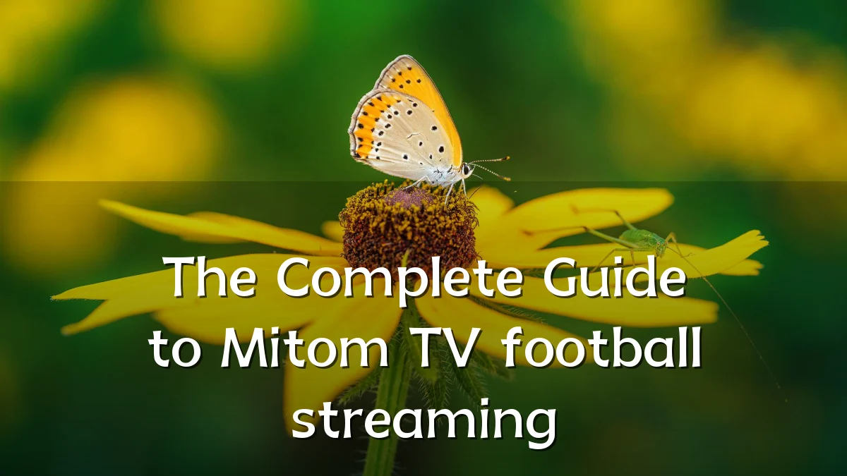 The Complete Guide to Mitom TV football streaming