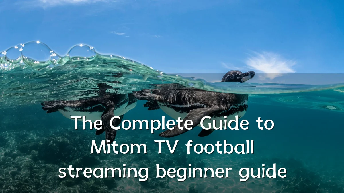 The Complete Guide to Mitom TV football streaming beginner guide