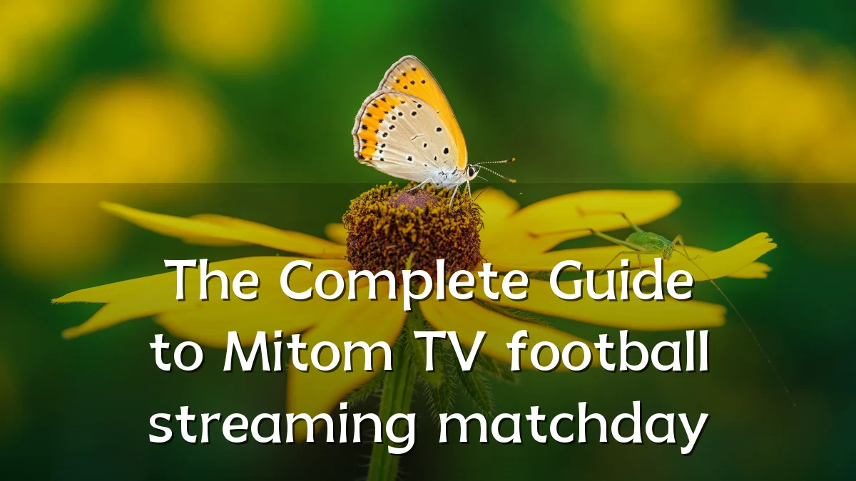 The Complete Guide to Mitom TV football streaming matchday