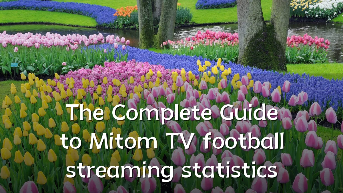 The Complete Guide to Mitom TV football streaming statistics