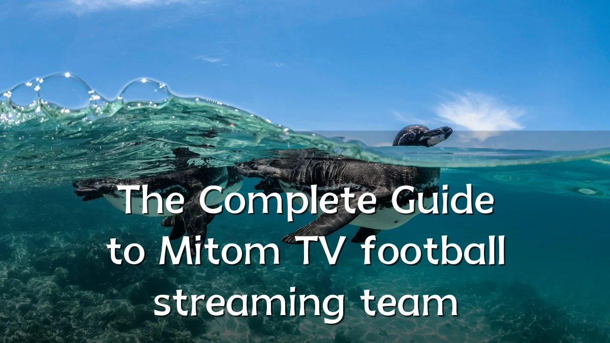 The Complete Guide to Mitom TV football streaming team