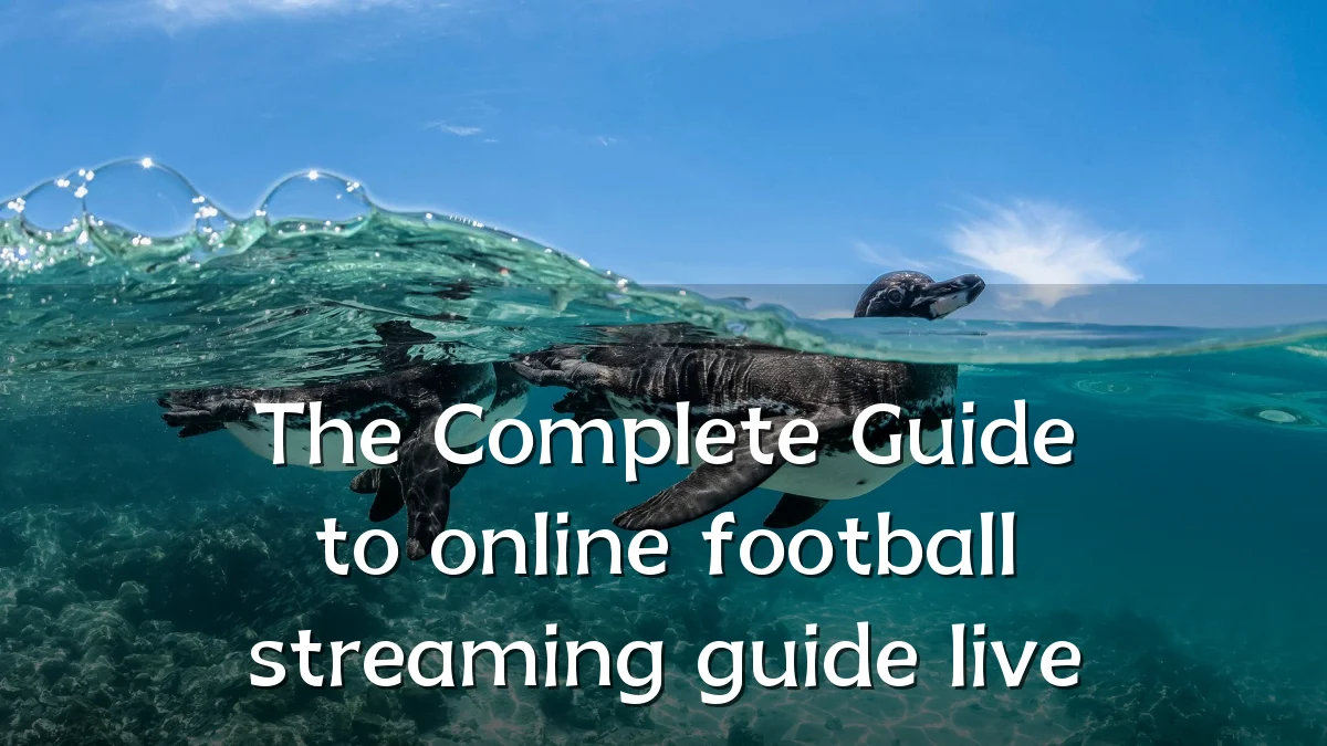 The Complete Guide to online football streaming guide live