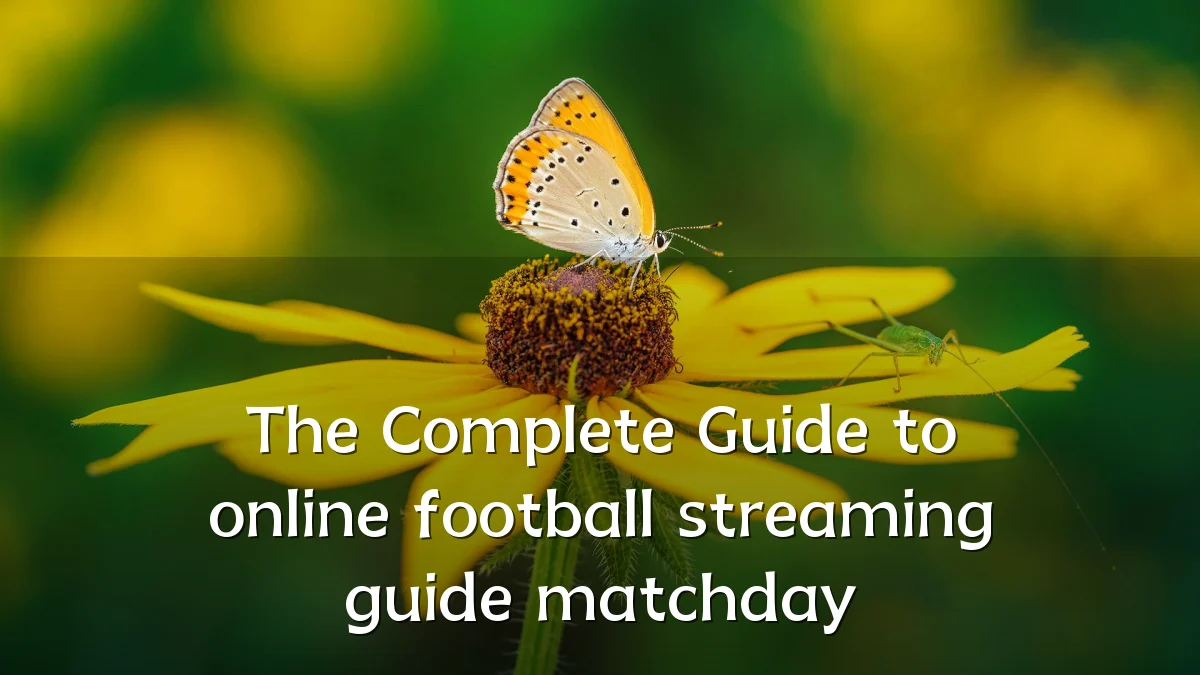 The Complete Guide to online football streaming guide matchday