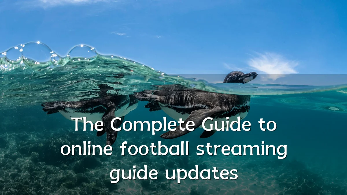 The Complete Guide to online football streaming guide updates