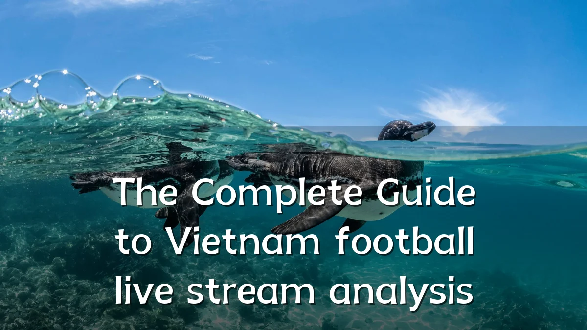 The Complete Guide to Vietnam football live stream analysis
