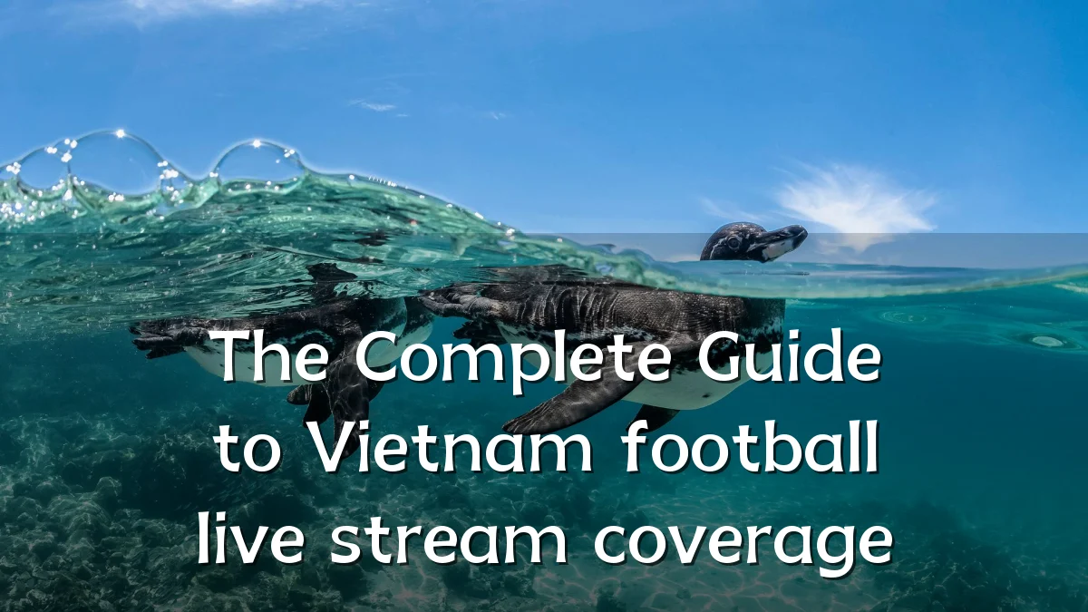 The Complete Guide to Vietnam football live stream coverage