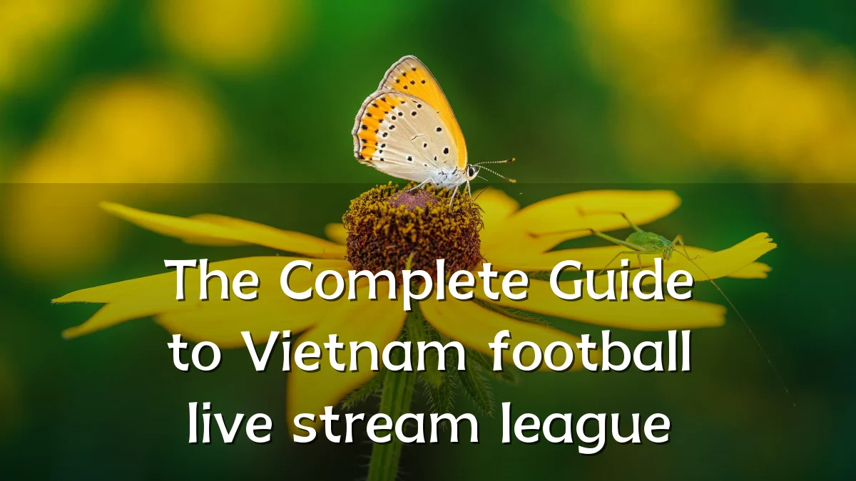 The Complete Guide to Vietnam football live stream league
