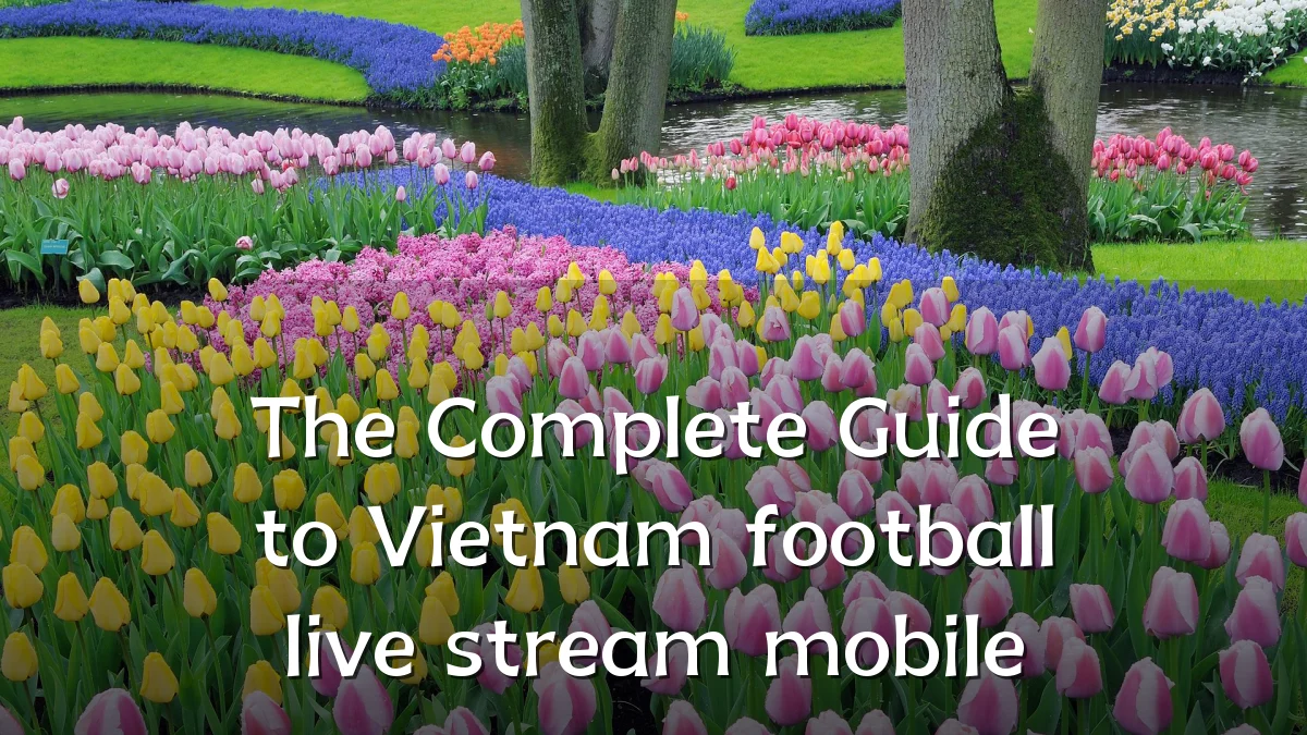 The Complete Guide to Vietnam football live stream mobile