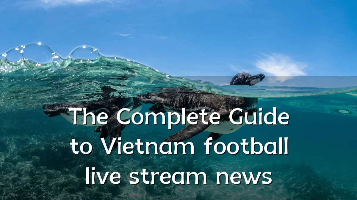 The Complete Guide to Vietnam football live stream news