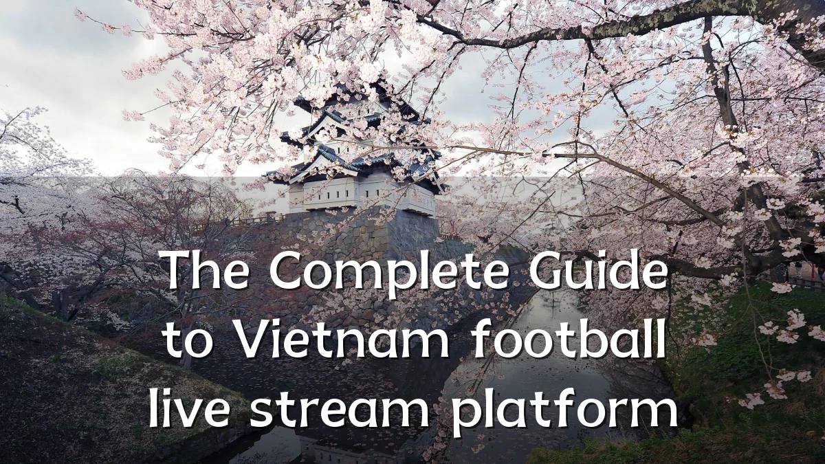 The Complete Guide to Vietnam football live stream platform