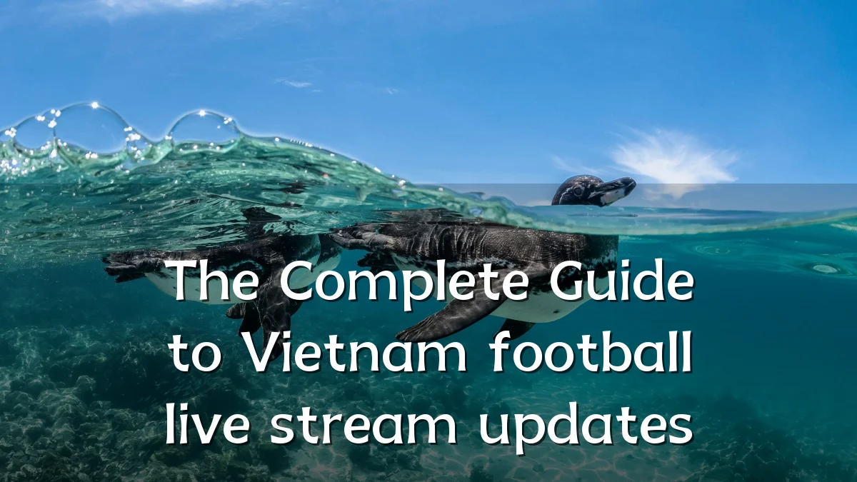 The Complete Guide to Vietnam football live stream updates