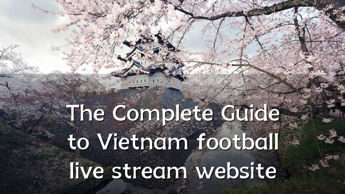 The Complete Guide to Vietnam football live stream website