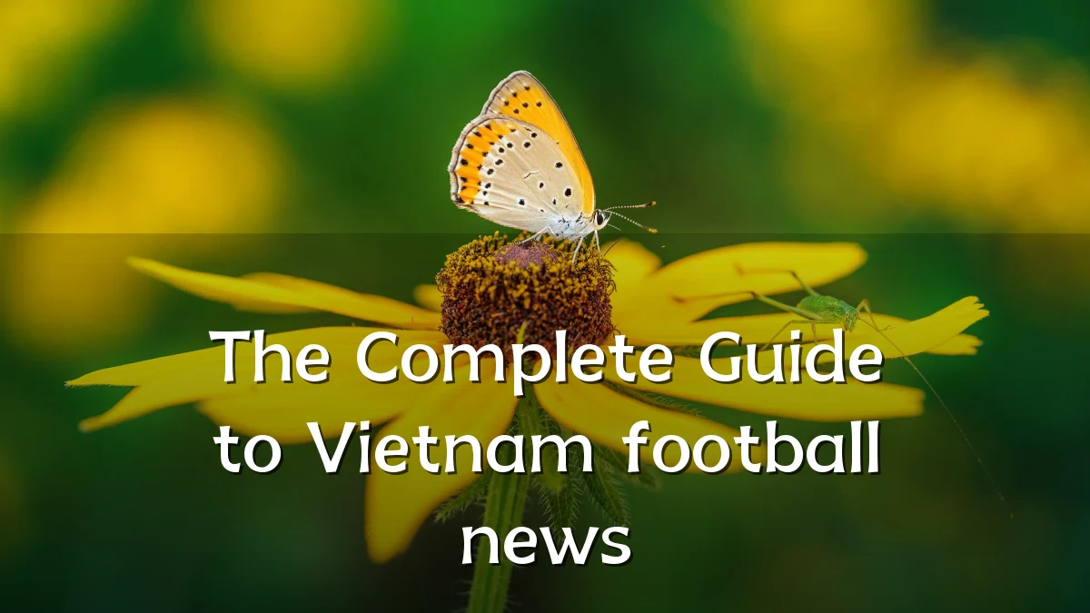 The Complete Guide to Vietnam football news