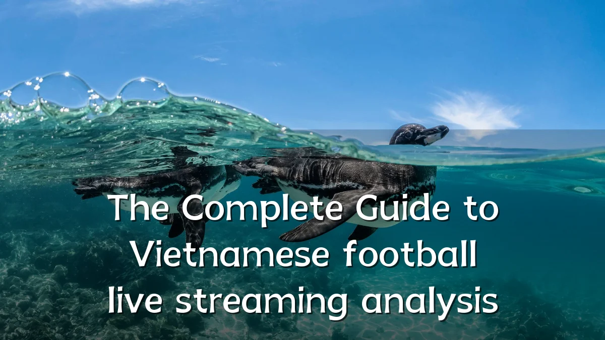 The Complete Guide to Vietnamese football live streaming analysis
