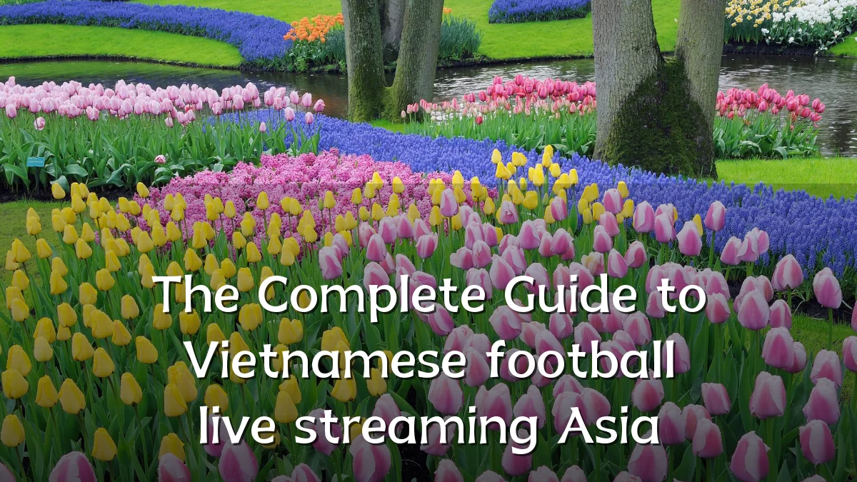 The Complete Guide to Vietnamese football live streaming Asia